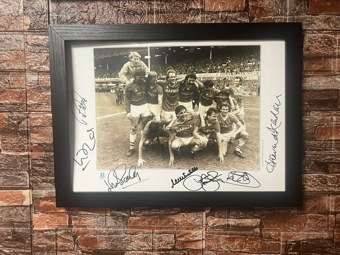 Multi Signed 1985 League Champions Winners A3 Poster