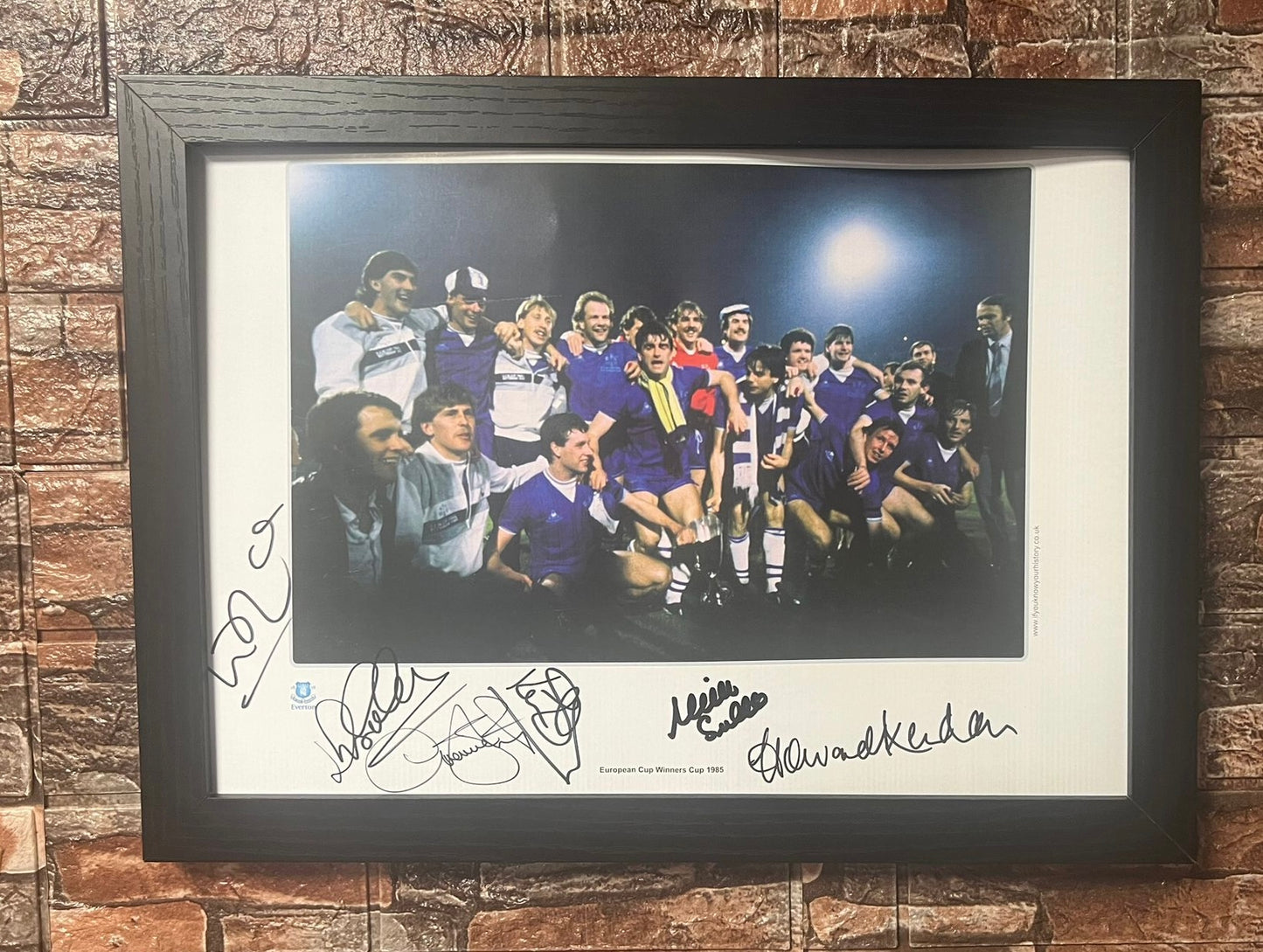 Multi Signed 1985 Cup Winners Cup Winners A3 Poster