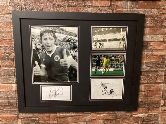 Andy King Signed 20x16 Montage Mount