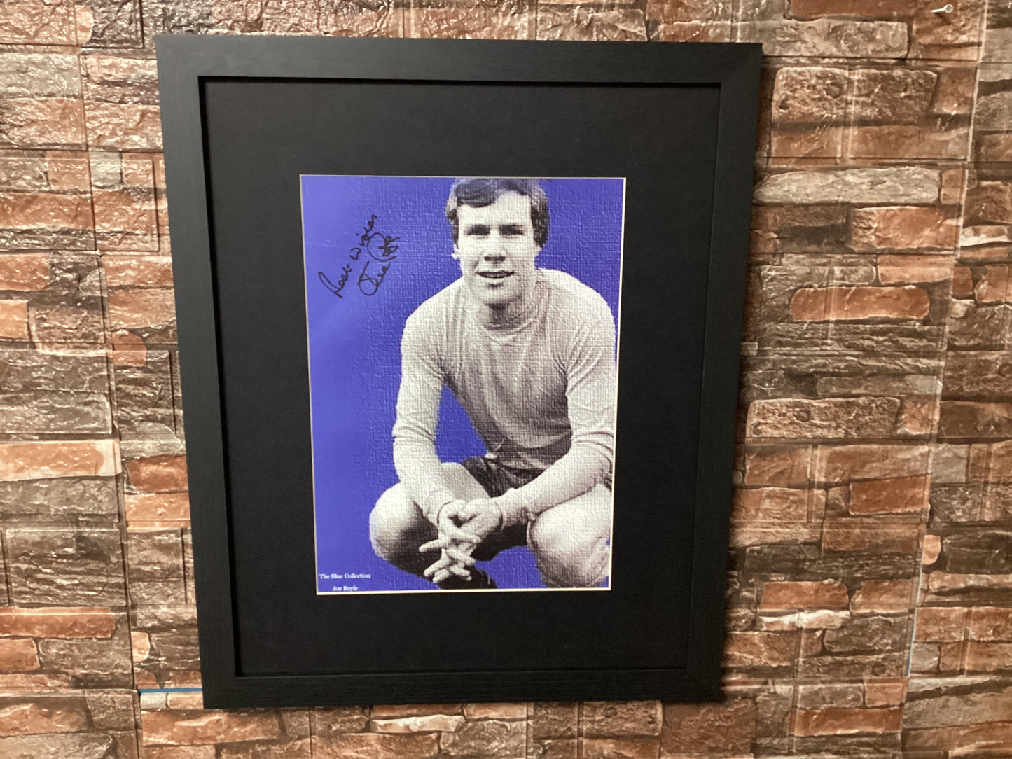 Joe Royle Signed 20x16  Mount