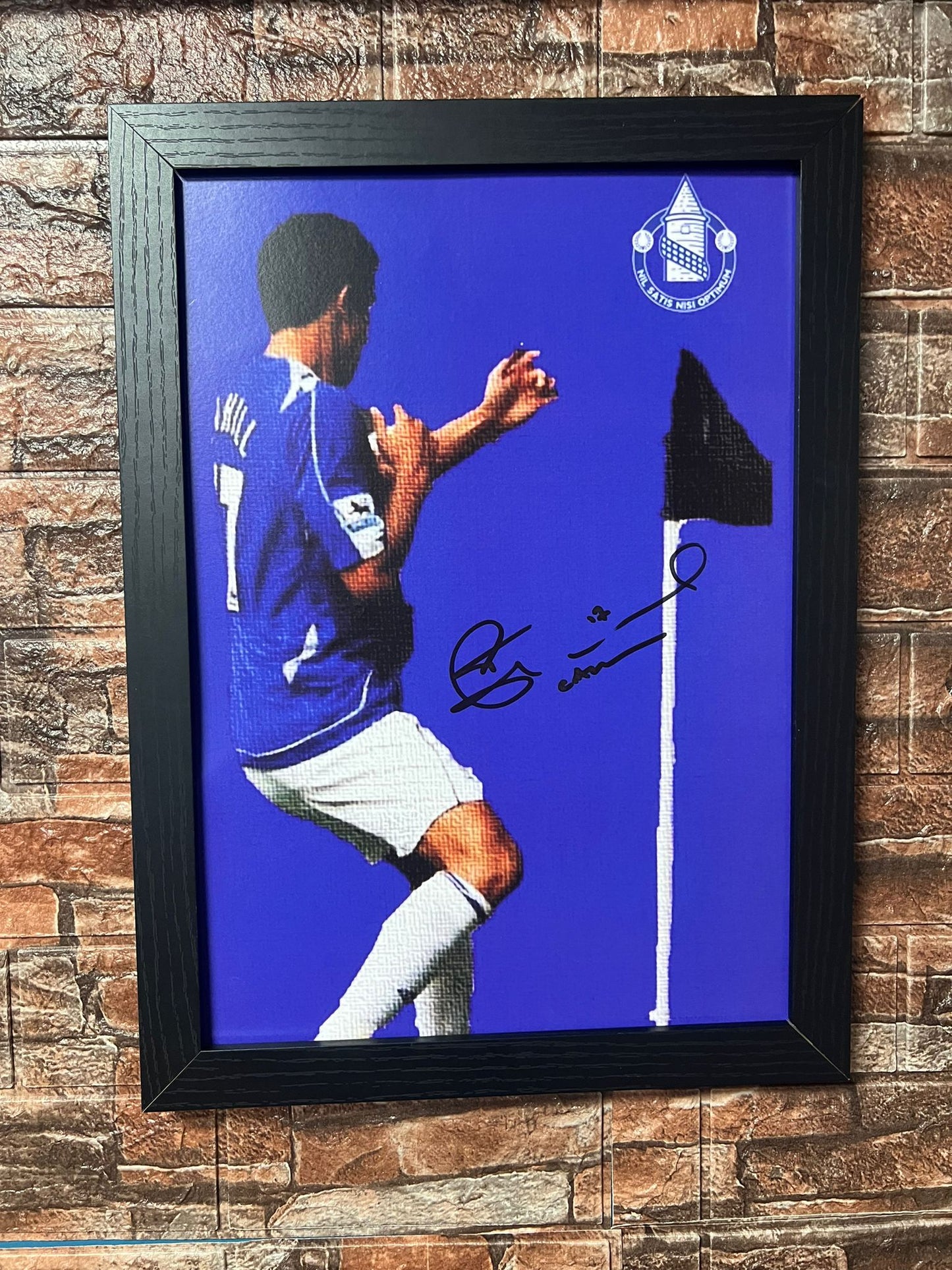 Tim Cahill Signed A3 Pop Art Poster