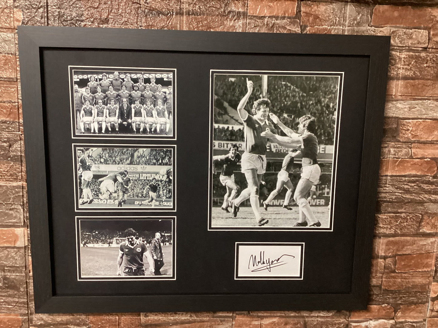 Mick Lyons Signed 20x16 Montage Mount